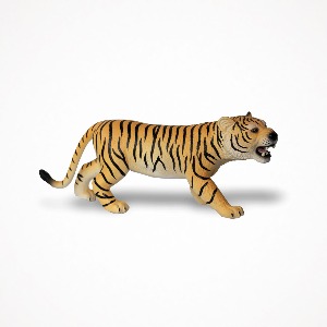 디어밀림 야생동물 (호랑이) Tiger