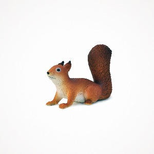 디어밀림 꼬마 다람쥐 Small Squirrel