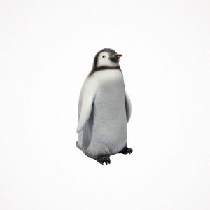 디어밀림 아기 황제 펭귄 Baby Emperor Penguin